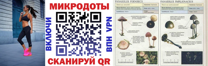 Галлюциногенные грибы мухоморы  Купить  Петровск-Забайкальский 